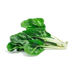 ERBETTE