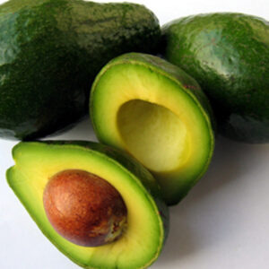 AVOCADO