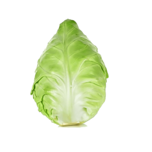 CAVOLO CAPPUCCIO