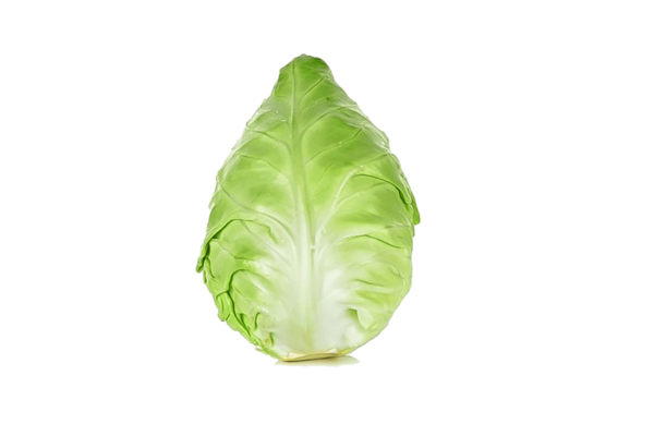 CAVOLO CAPPUCCIO