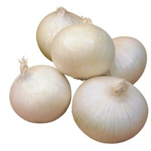 CIPOLLE BIANCHE