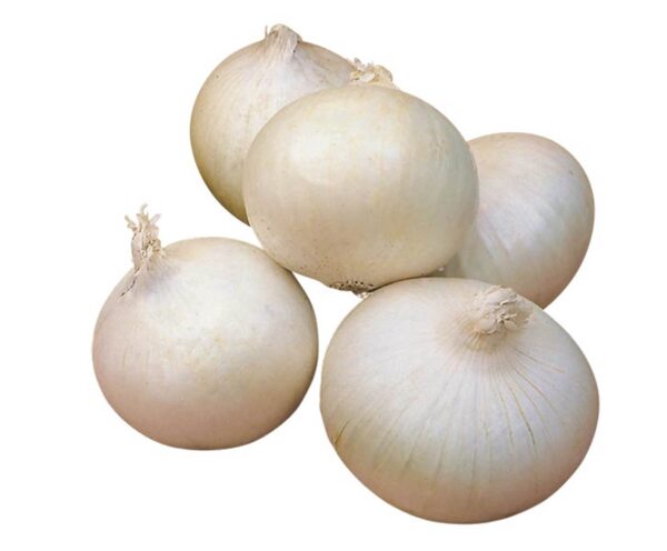 CIPOLLE BIANCHE