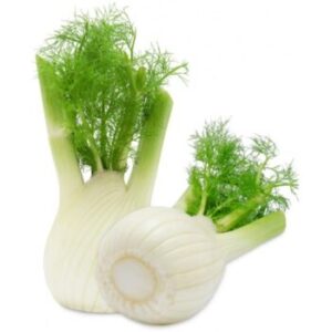 FINOCCHI