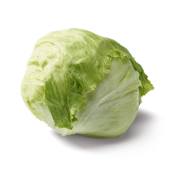 INSALATA GHIACCIO
