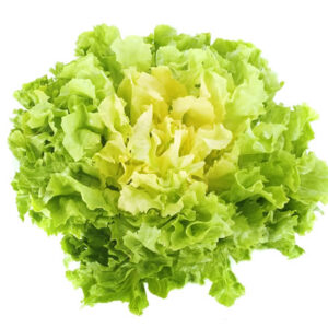 INSALATA SCAROLA