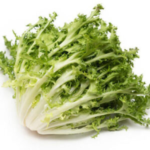 INSALATA RICCIA