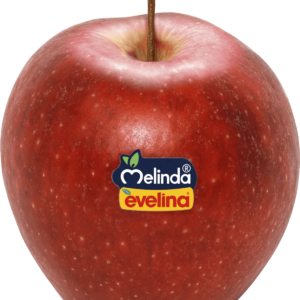 MELE MELINDA
