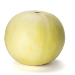 MELONE LISCIO