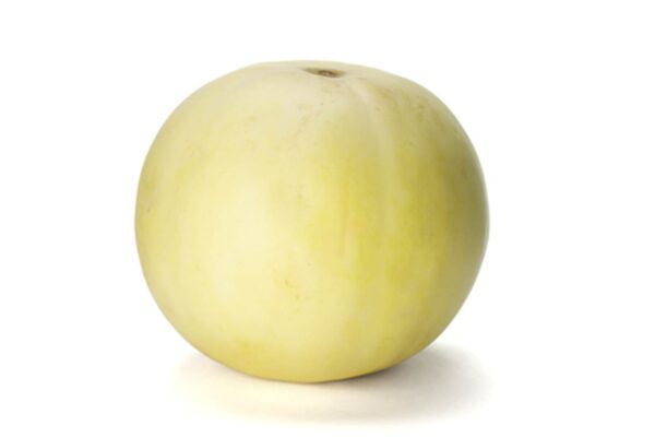 MELONE LISCIO