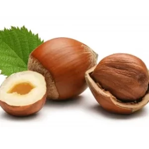NOCCIOLE