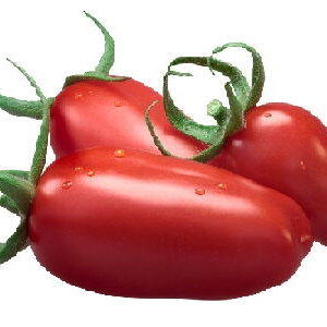 POMODORI PERETTA