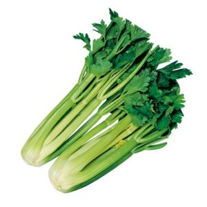 SEDANO VERDE