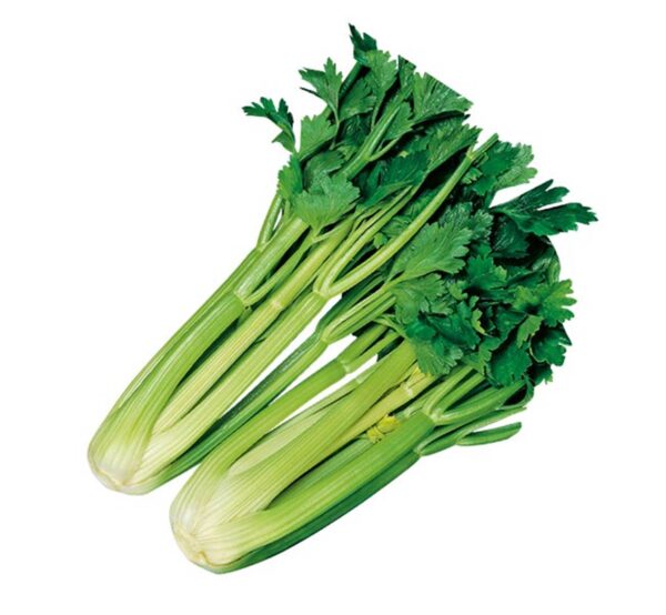 SEDANO VERDE