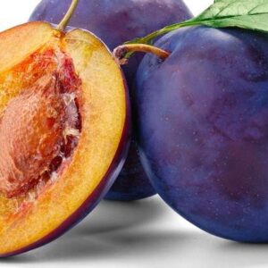 PRUGNE SUSINE